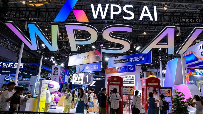 WPS,鸡同鸭讲